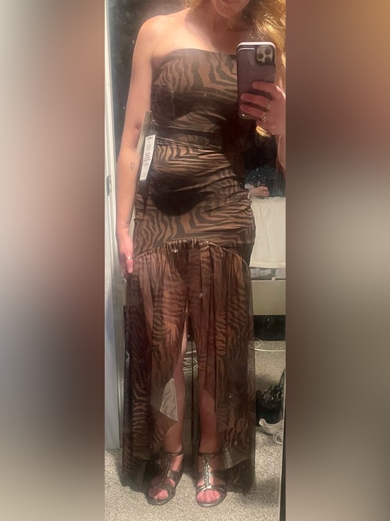 Dresses & Skirts - Katia Rae Elegant Tiger Stripe Dress with Subtle Sheen